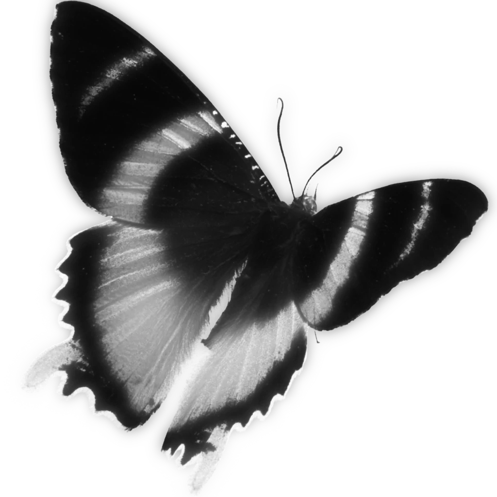 enQ